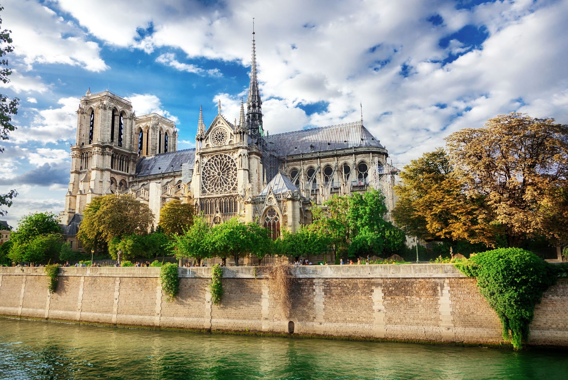 parigi gallery 5.jpeg